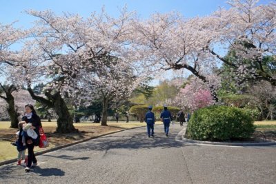 TOKYO029.jpg