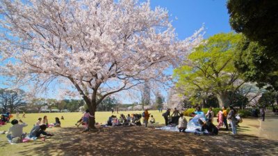 TOKYO044.jpg