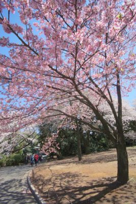 TOKYO048.jpg