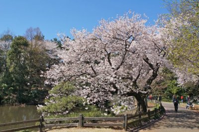 TOKYO051.jpg