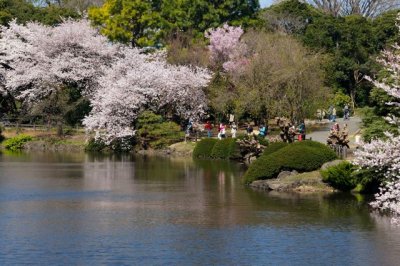 TOKYO054.jpg
