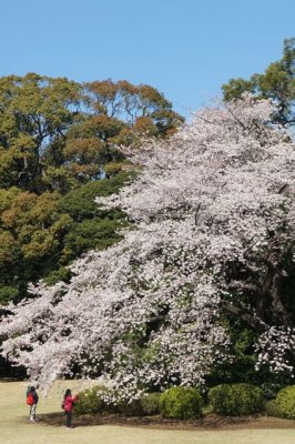 TOKYO058.jpg