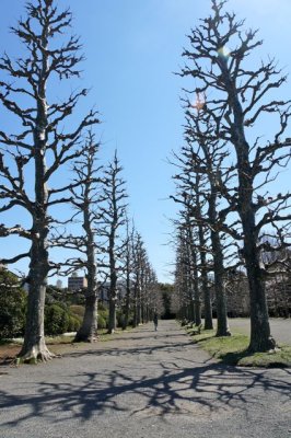 TOKYO059.jpg