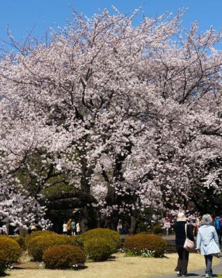 TOKYO062.jpg