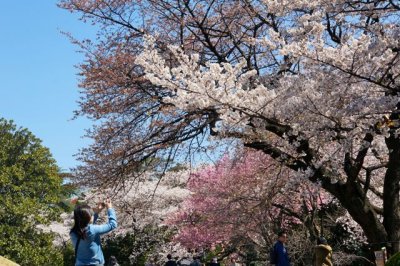 TOKYO065.jpg