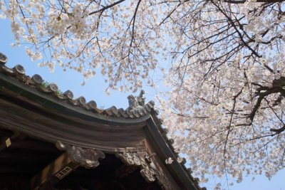 TOKYO066.jpg