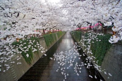 TOKYO073.jpg