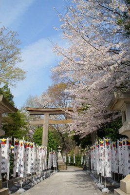 TOKYO079.jpg