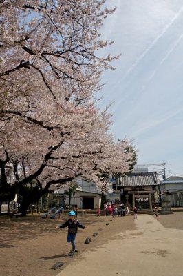 TOKYO084.jpg