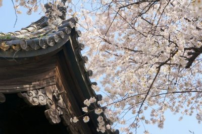 TOKYO091.jpg