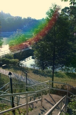 CUHK01.jpg
