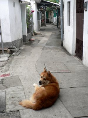 LiYuMun02.jpg
