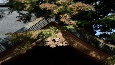 KAGO16063.jpg