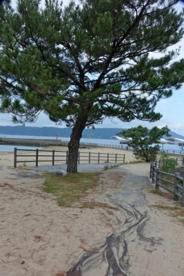 KAGO16039.jpg