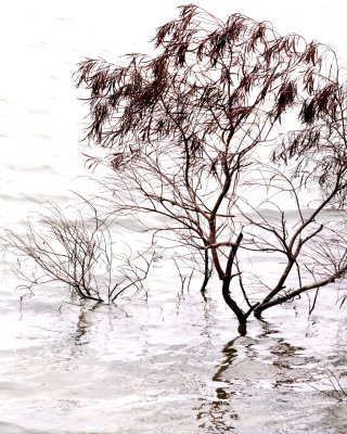 LK05.jpg