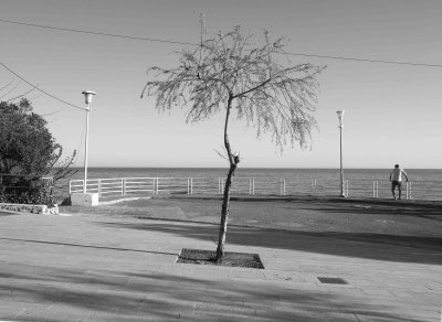 Sitges 2014