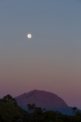 Piton de leau lune-1241 rd.jpg