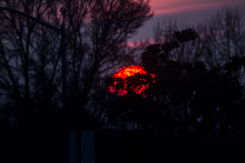 Sunset _MG_6786.jpg