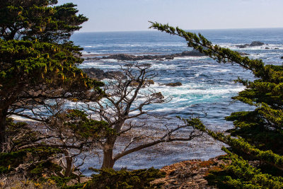 view from Point Lobos  _MG_5924.jpg
