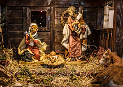 Nativity scene Our Lady of Peace Catholic church in Santa Clara CA _Z6A0061.jpg