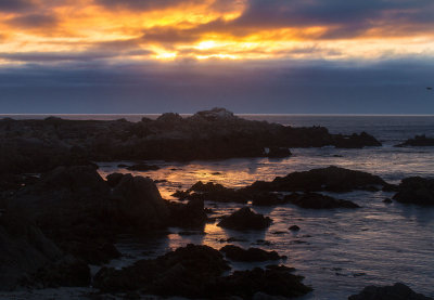 Pacific sunset  _MG_1507.jpg