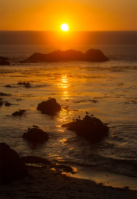 Colorful golden sunset  _MG_4619.jpg