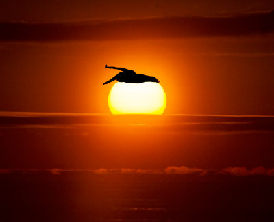 Pelican blocking the sun  _MG_2443.jpg