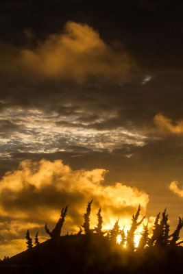 golden cloud sunset _MG_3977.jpg