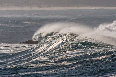 ocean wave  _MG_3104.jpg