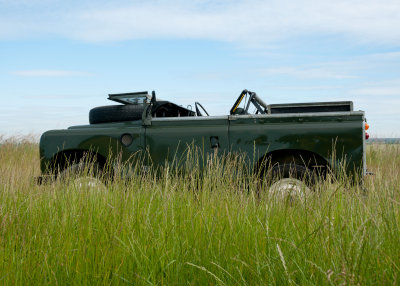 DSC_7686.jpg