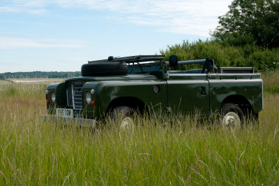 DSC_7687.jpg