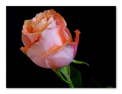 g9/16/721416/3/160102935.is4lz5UL.jpg