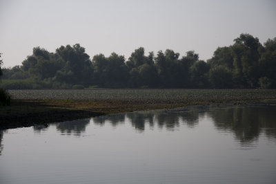 Donau Delta
