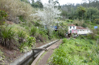 Levada zum Teehaus