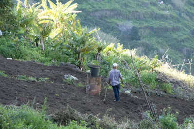 Canbas Lombo Levada