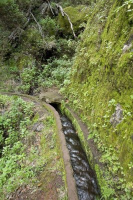 Canbas Lombo Levada