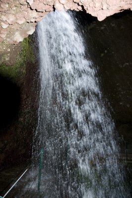  CanbasLevada Nuova 