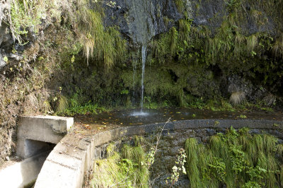  CanbasLevada Nuova 