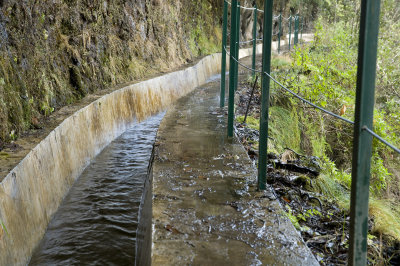  CanbasLevada Nuova 