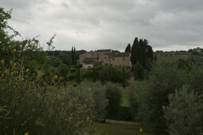 DSC_3320.jpg