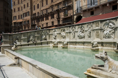 DSC_3328.jpg
