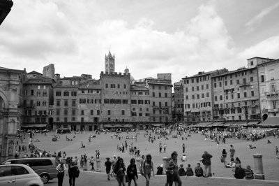 DSC_3331.jpg