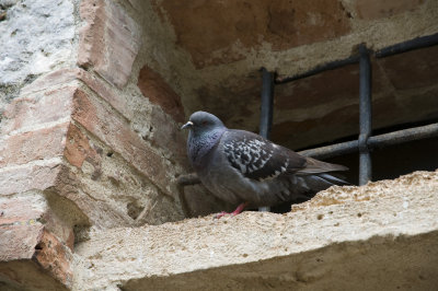DSC_3348.jpg