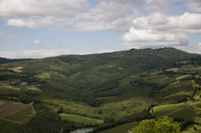 DSC_3354.jpg