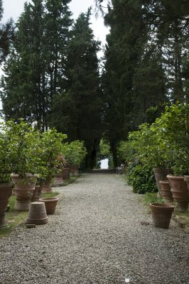 DSC_3366.jpg