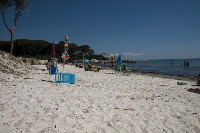 DSC_3369.jpg
