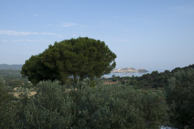 DSC_3385.jpg