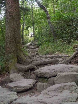 Grandfather Mountain - Bridge trail