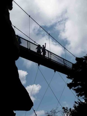 Grandfather Mountain - Suspension Bridge