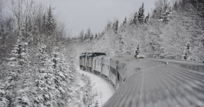 Tundra Train